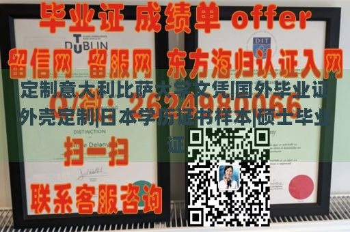 定制意大利比萨大学文凭|国外毕业证外壳定制|日本学历证书样本|硕士毕业证