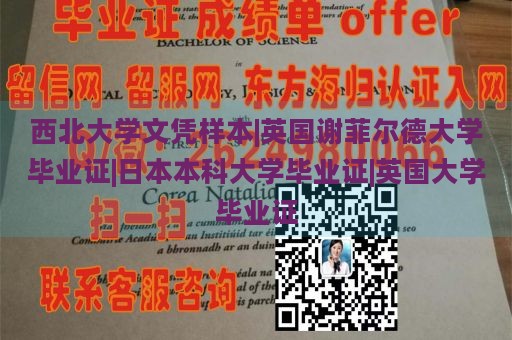 西北大学文凭样本|英国谢菲尔德大学毕业证|日本本科大学毕业证|英国大学毕业证