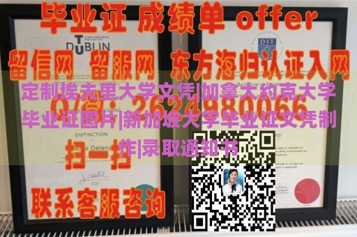 定制埃夫里大学文凭|加拿大约克大学毕业证图片|新加坡大学毕业证文凭制作|录取通知书